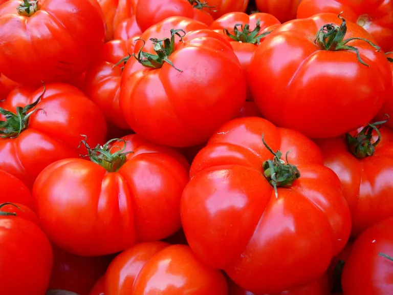 What is your pomodoro timer technique?